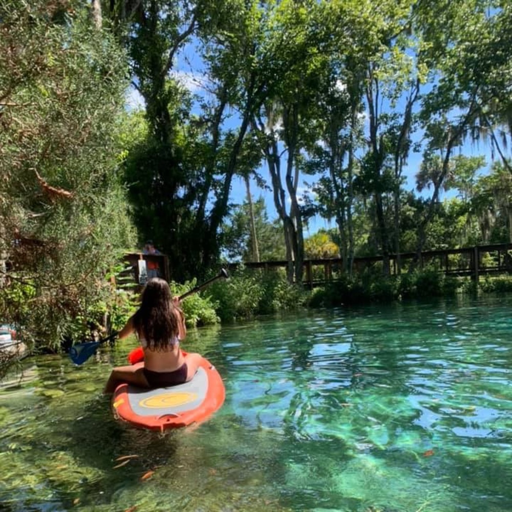 Meet your Posher, Kallie